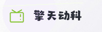 合作伙伴